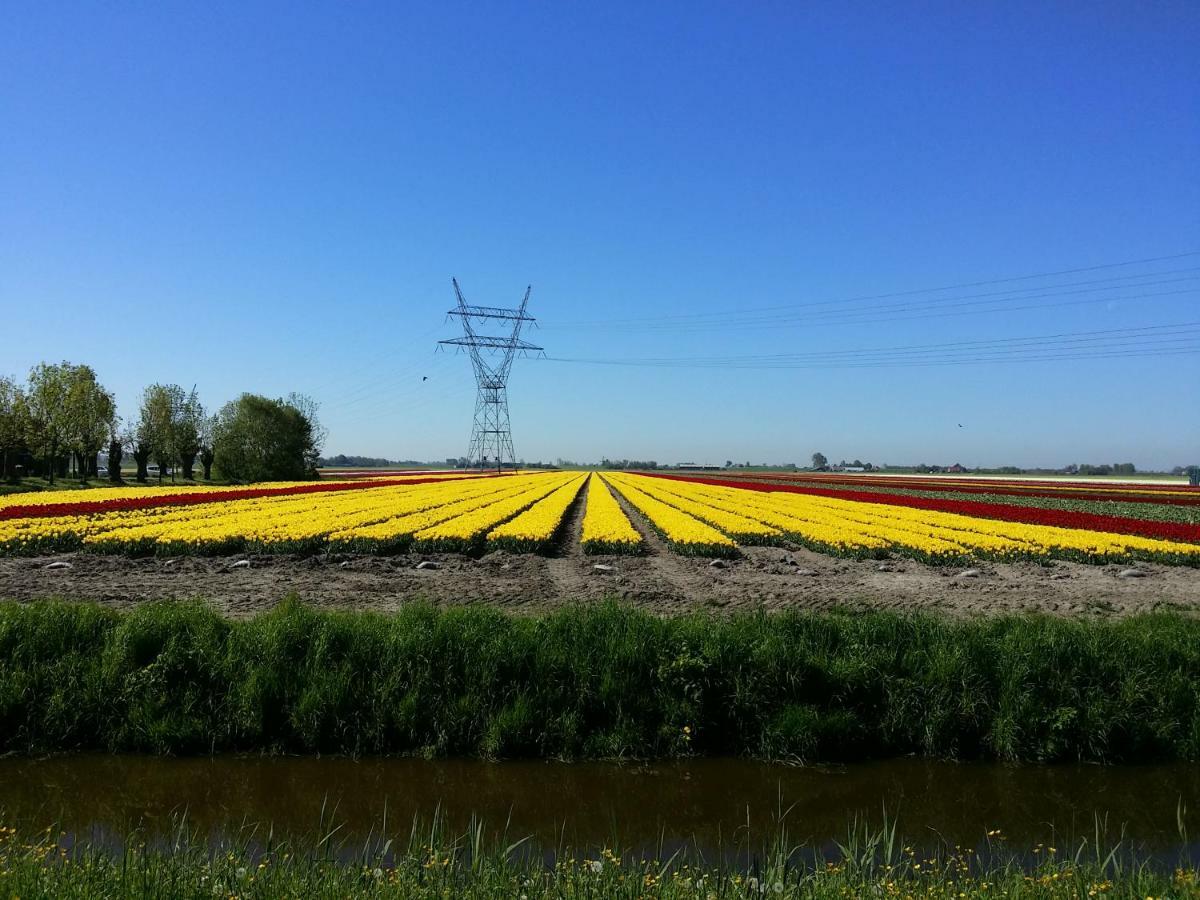Gastenverblijf Bij De Molen Tussen Alkmaar En Hoorn Oterleek Exterior foto